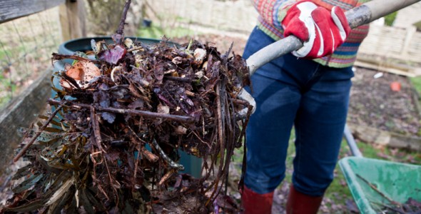 composting