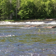 Vanderwater Park